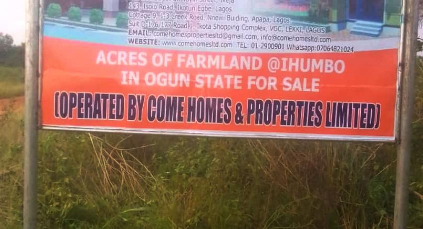 Acres of farmland for Sale at Ihumbo along Idiroko Road, Ogun state